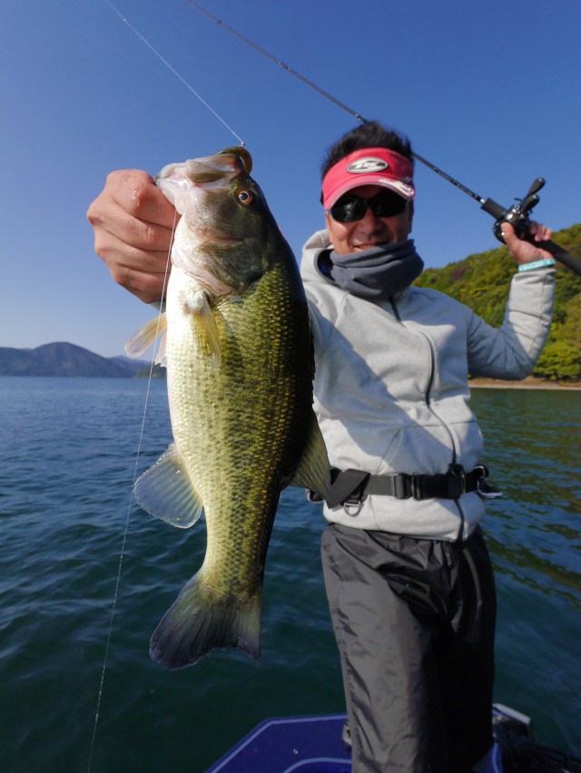 truth hiramura ブログ写真 2016/11/08