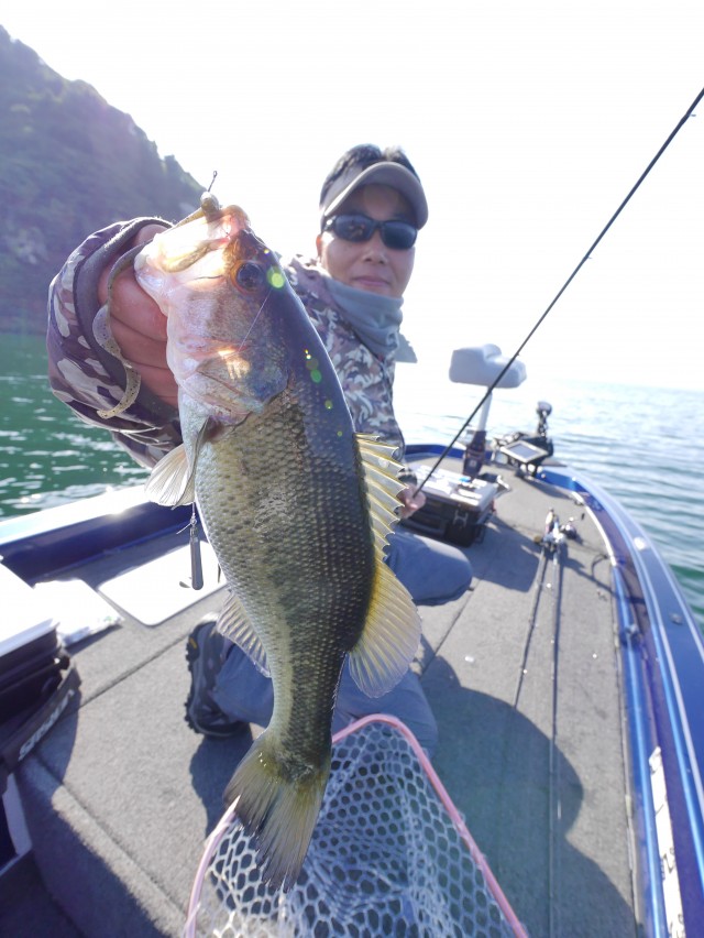 truth hiramura ブログ写真 2016/11/08