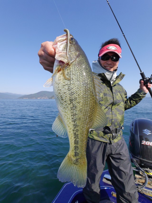 truth hiramura ブログ写真 2016/11/08