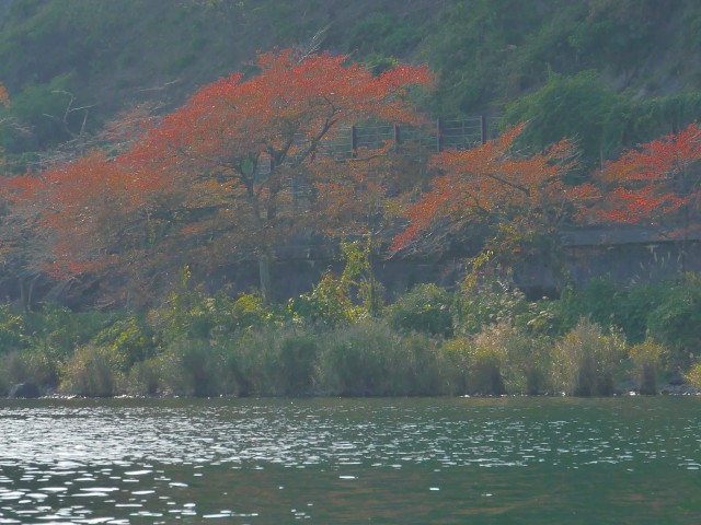 truth hiramura ブログ写真 2016/11/08