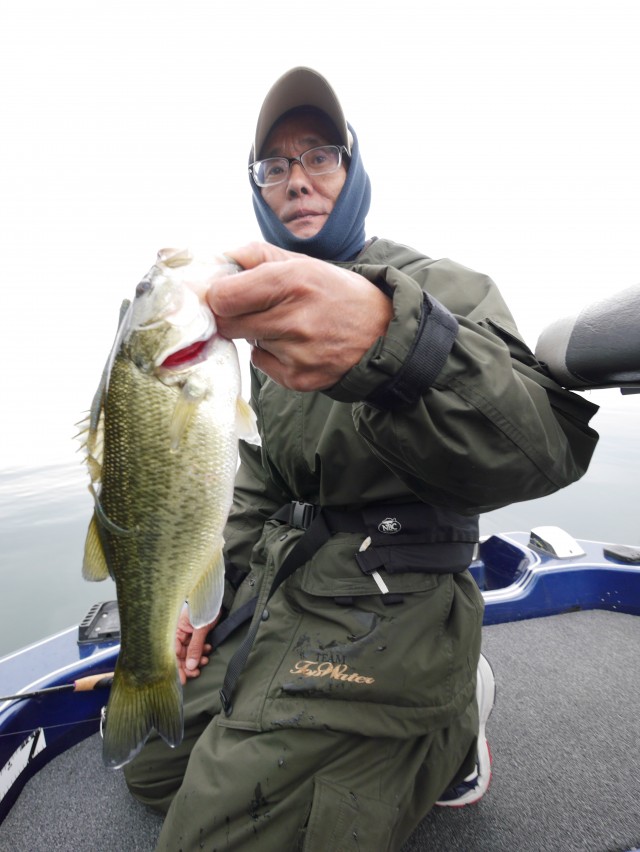 truth hiramura ブログ写真 2016/11/08