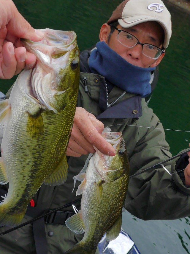 truth hiramura ブログ写真 2016/11/08