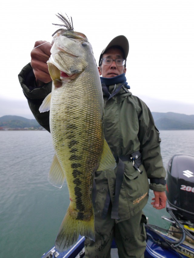 truth hiramura ブログ写真 2016/11/08