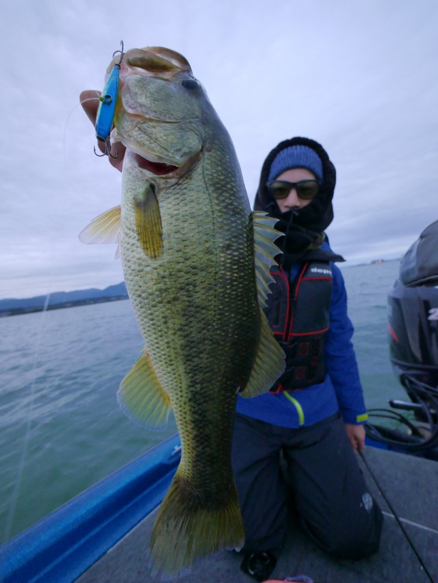 truth hiramura ブログ写真 2016/11/11