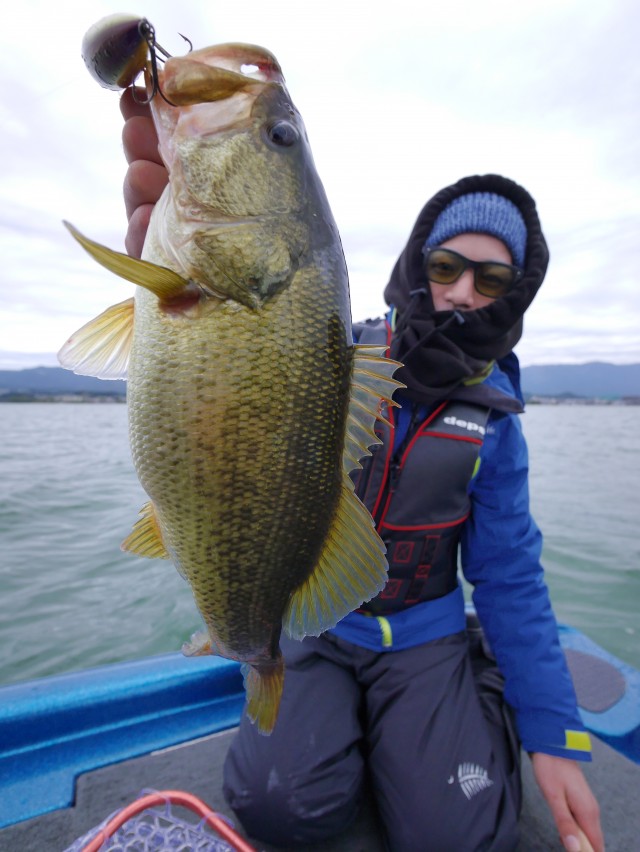 truth hiramura ブログ写真 2016/11/11