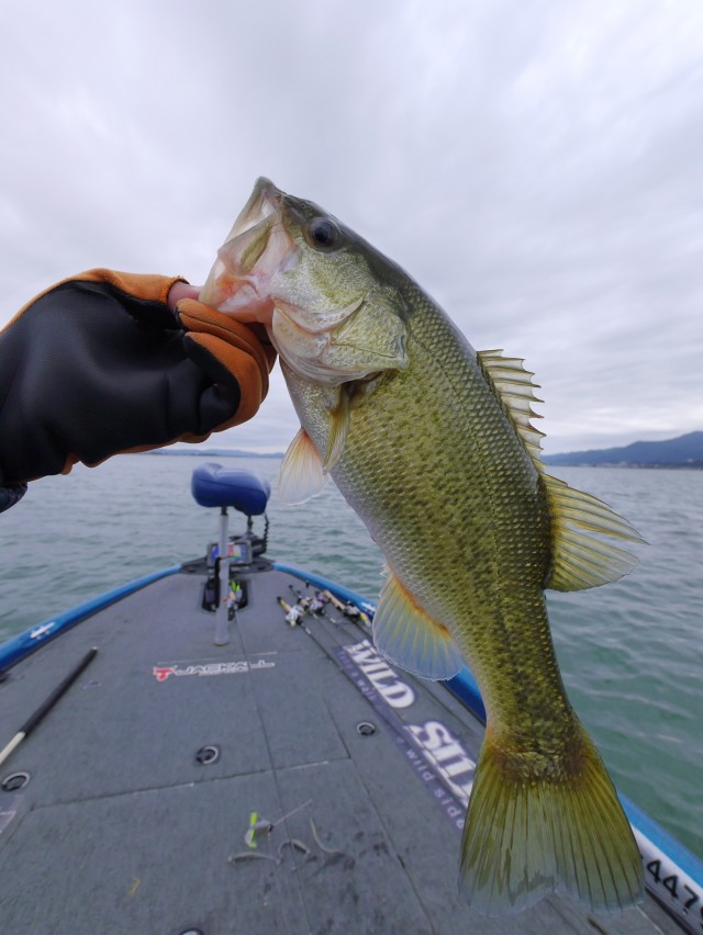 truth hiramura ブログ写真 2016/11/11