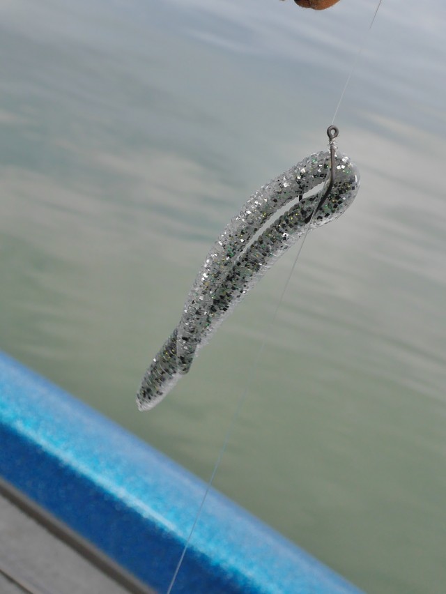 truth hiramura ブログ写真 2016/11/11