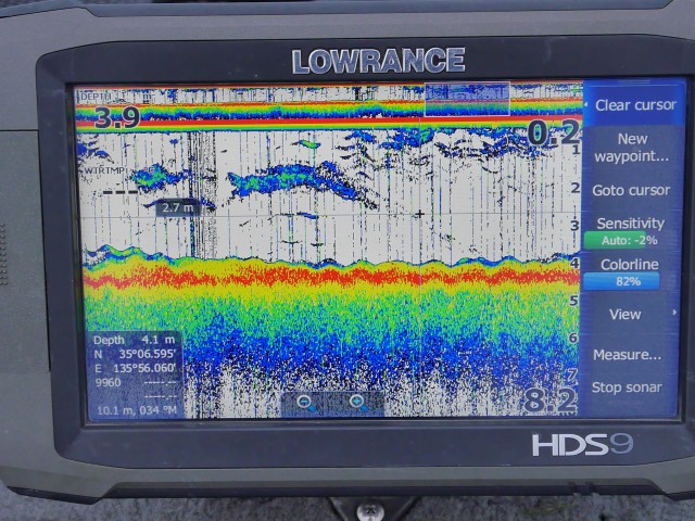 truth hiramura ブログ写真 2016/11/11