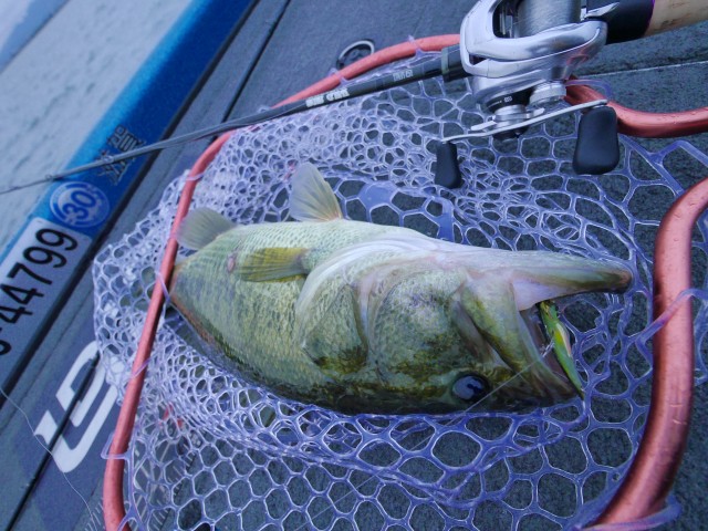 truth hiramura ブログ写真 2016/11/11