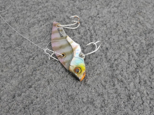 truth hiramura ブログ写真 2016/11/11