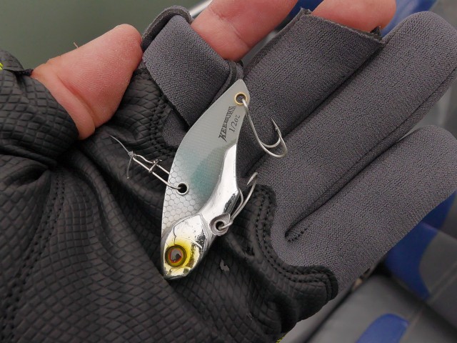 truth hiramura ブログ写真 2016/11/12