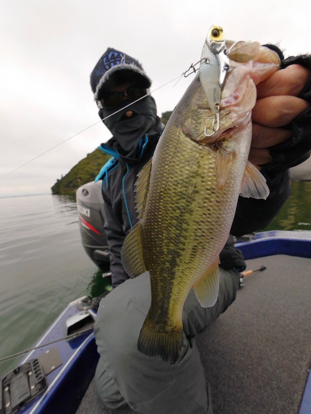 truth hiramura ブログ写真 2016/11/12