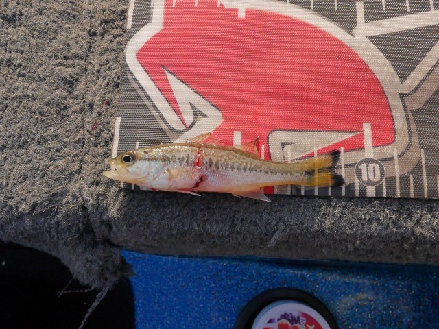 truth hiramura ブログ写真 2016/11/12