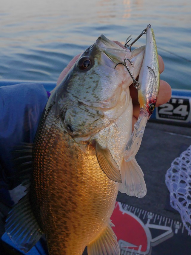 truth hiramura ブログ写真 2016/11/12