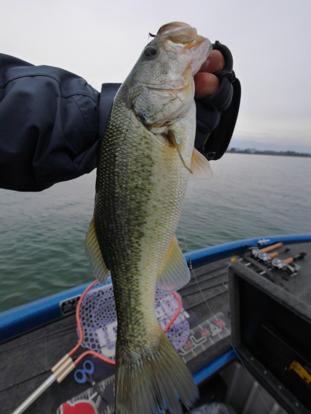 truth hiramura ブログ写真 2016/11/14