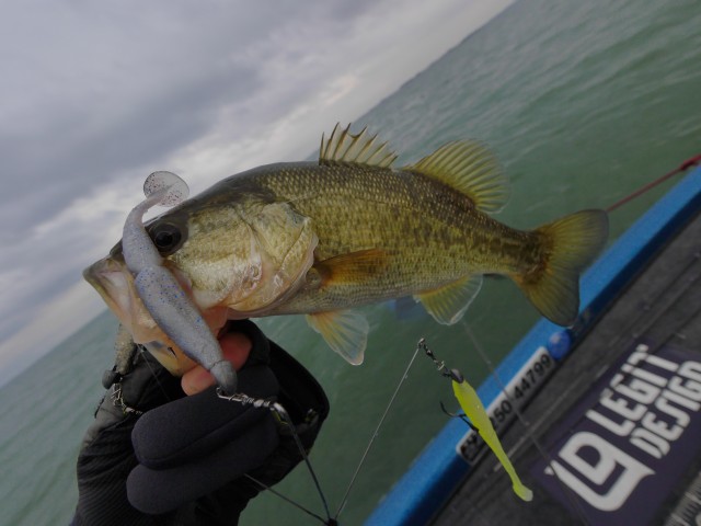 truth hiramura ブログ写真 2016/11/14