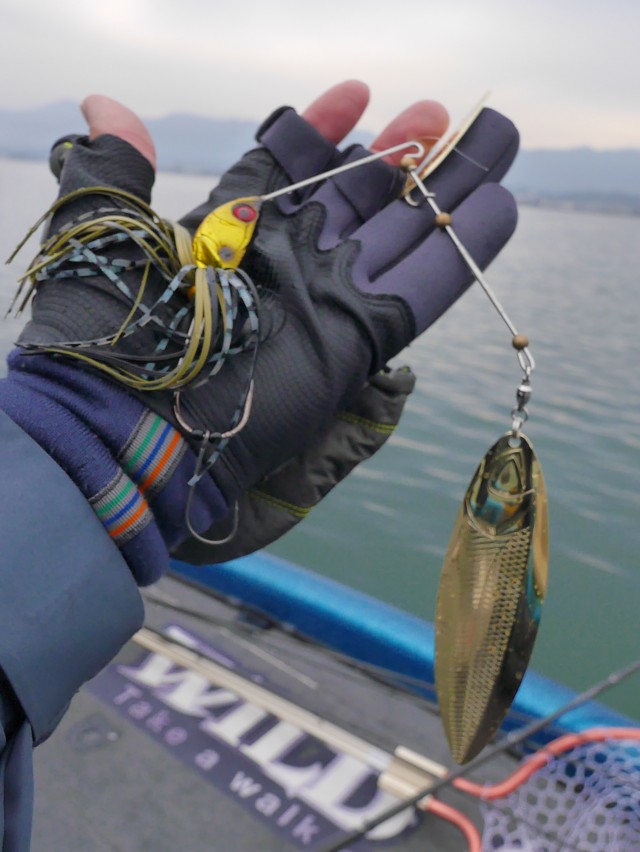 truth hiramura ブログ写真 2016/11/14