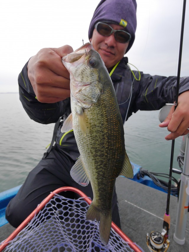 truth hiramura ブログ写真 2016/11/14