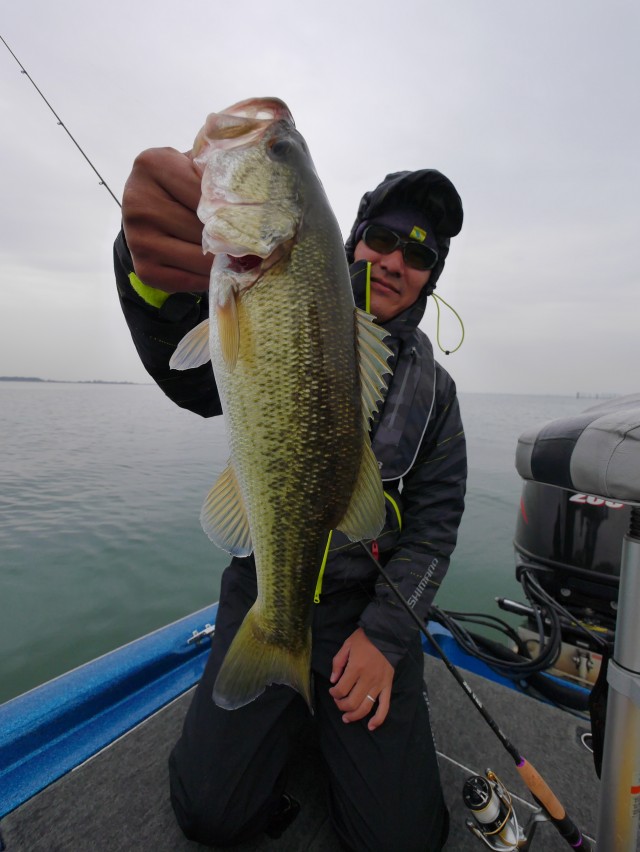 truth hiramura ブログ写真 2016/11/14