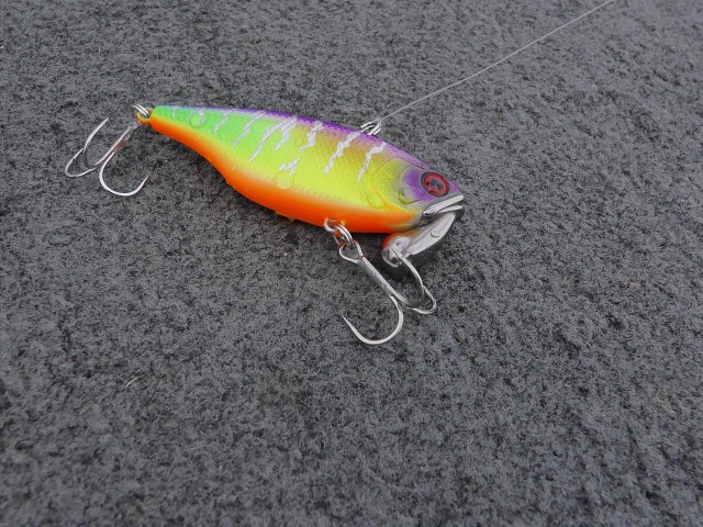 truth hiramura ブログ写真 2016/11/14