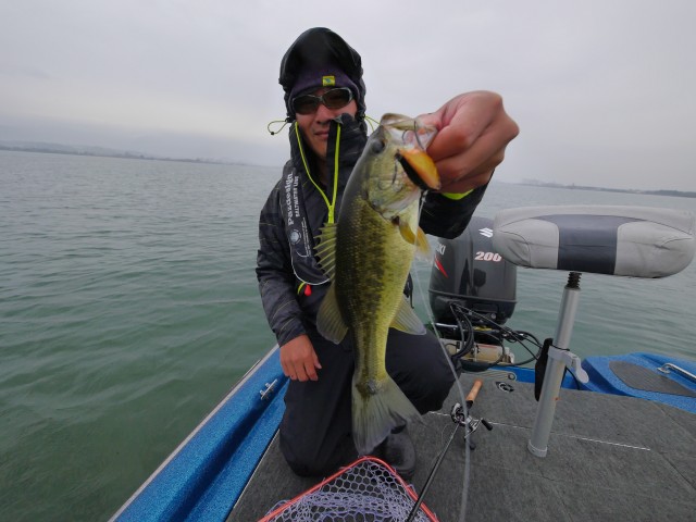 truth hiramura ブログ写真 2016/11/14