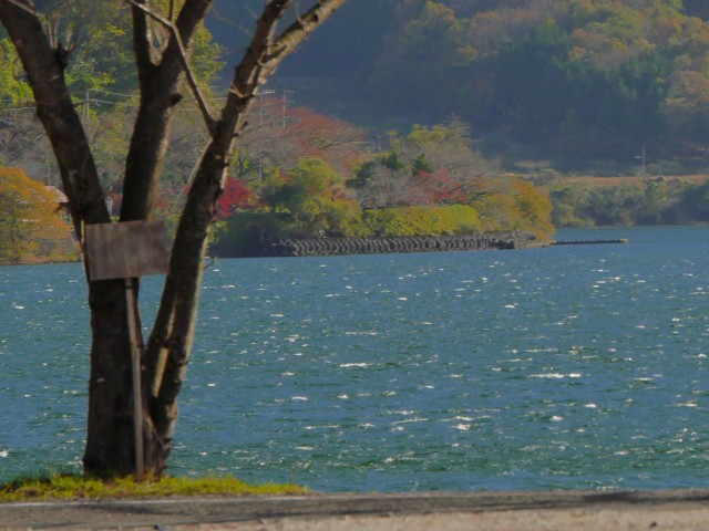 truth hiramura ブログ写真 2016/11/17