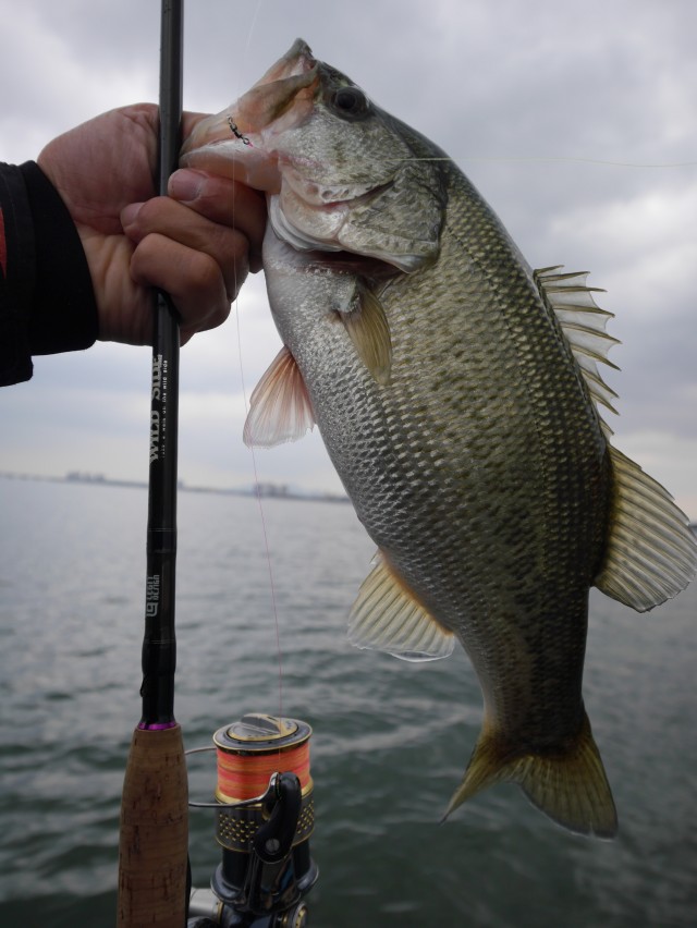 truth hiramura ブログ写真 2016/11/18