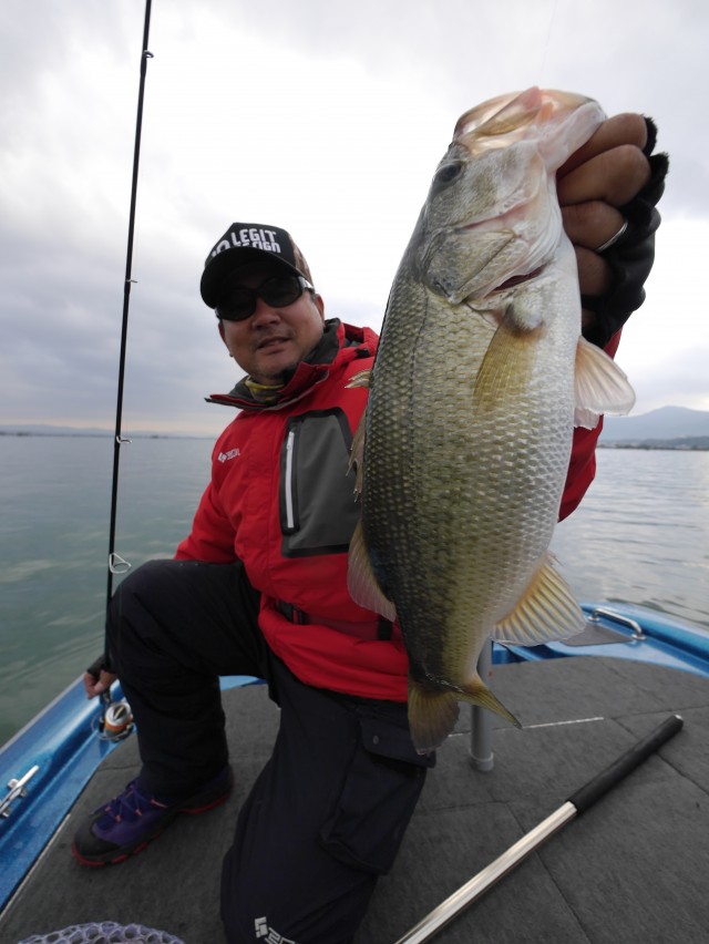 truth hiramura ブログ写真 2016/11/18