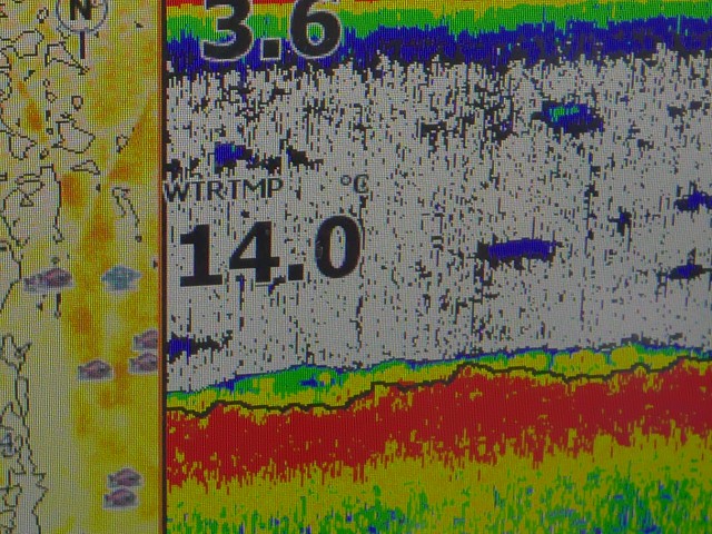 truth hiramura ブログ写真 2016/11/18