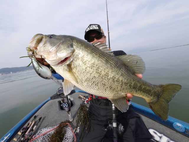 truth hiramura ブログ写真 2016/11/18