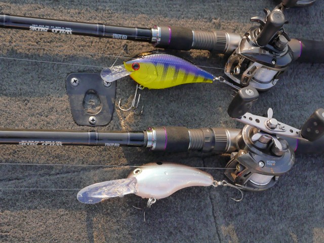 truth hiramura ブログ写真 2016/11/18