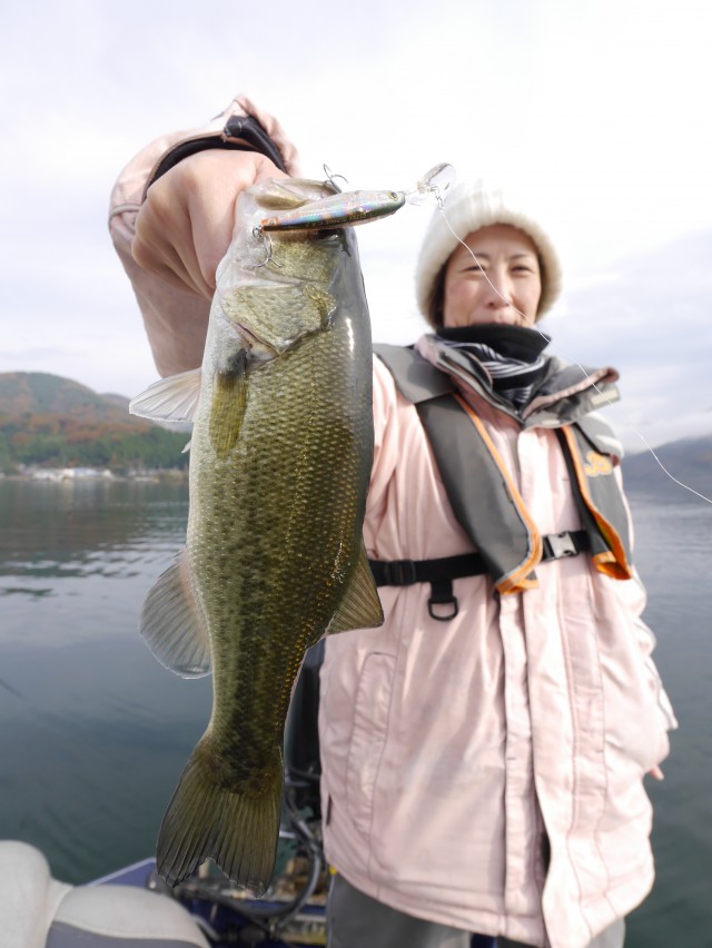 truth hiramura ブログ写真 2016/11/21