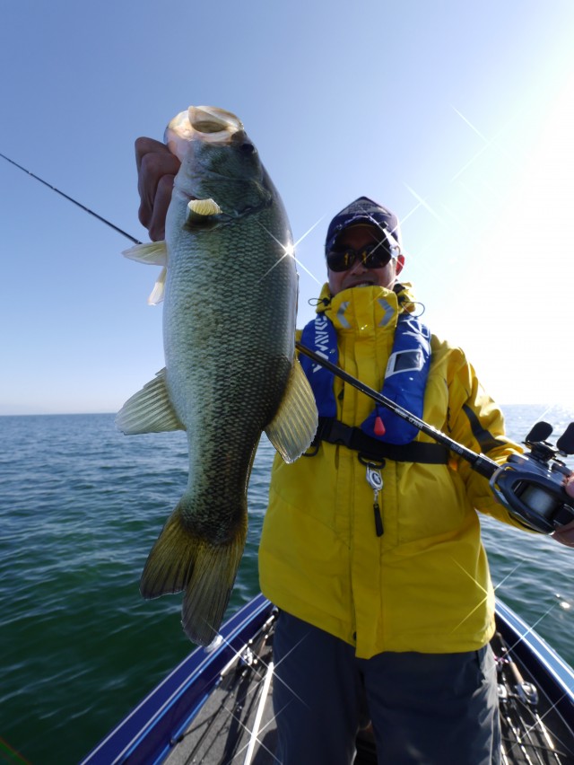 truth hiramura ブログ写真 2016/12/03