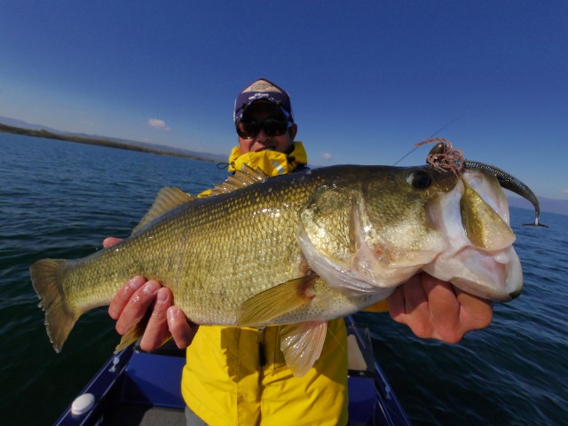 truth hiramura ブログ写真 2016/12/03