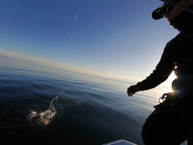 truth hiramura ブログ写真 2016/12/03