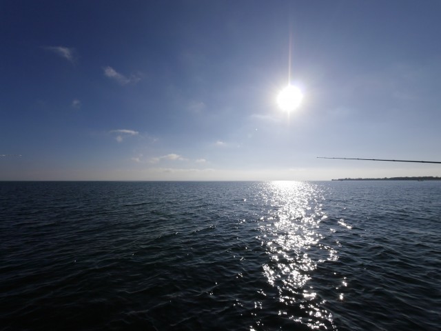 truth hiramura ブログ写真 2016/12/03