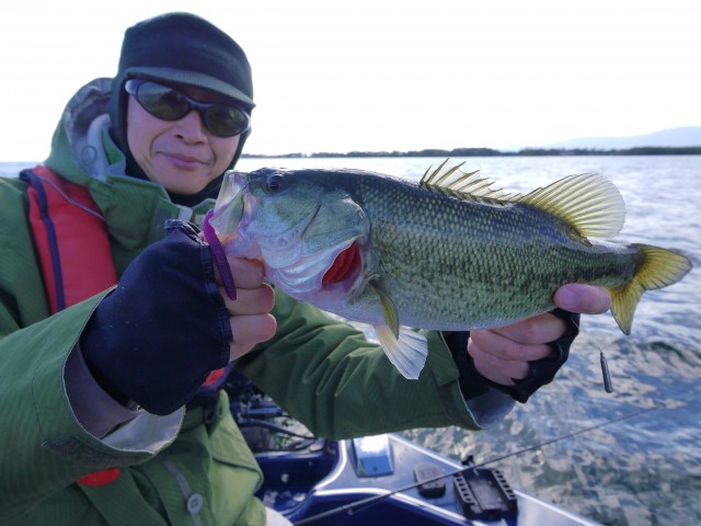 truth hiramura ブログ写真 2016/12/06