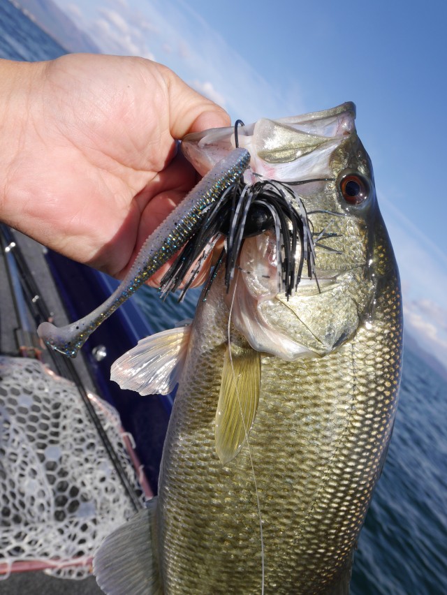 truth hiramura ブログ写真 2016/12/06