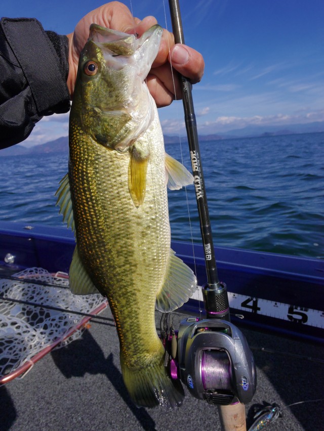 truth hiramura ブログ写真 2016/12/06