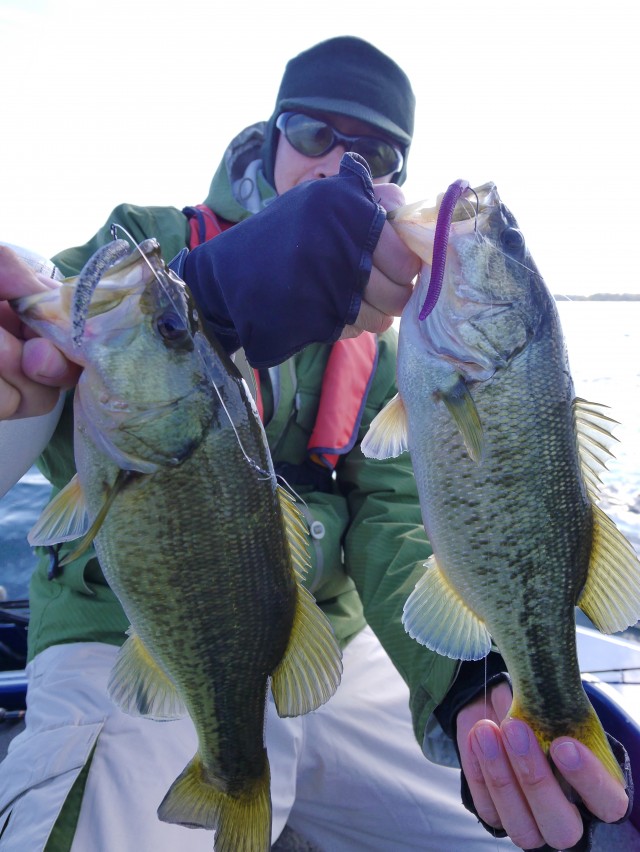 truth hiramura ブログ写真 2016/12/06