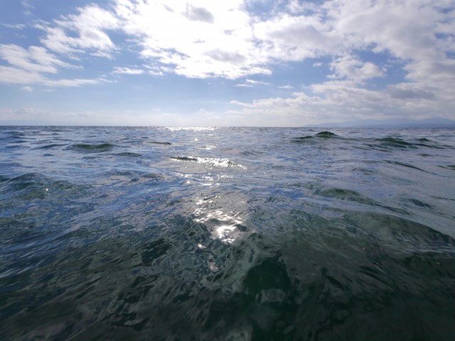 truth hiramura ブログ写真 2016/12/08