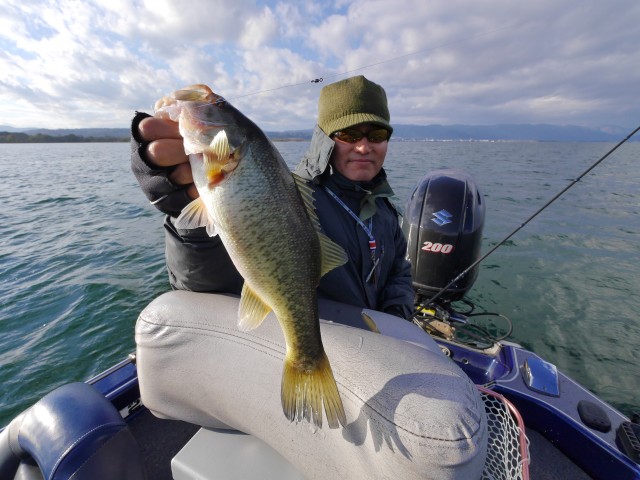 truth hiramura ブログ写真 2016/12/08