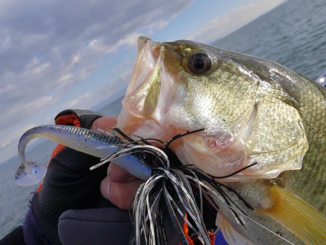 truth hiramura ブログ写真 2016/12/08