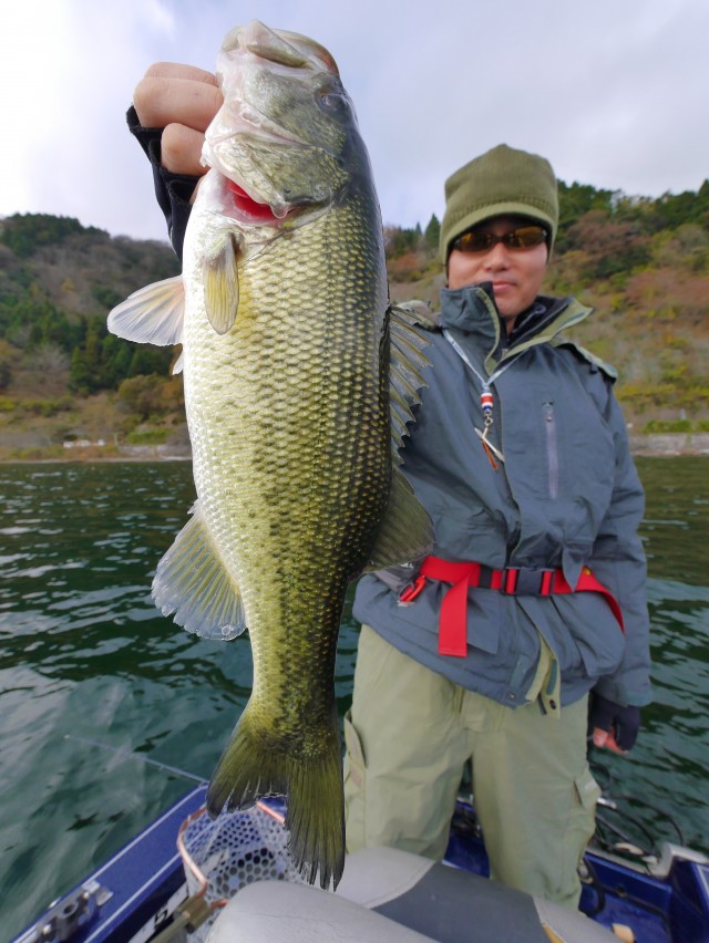 truth hiramura ブログ写真 2016/12/08