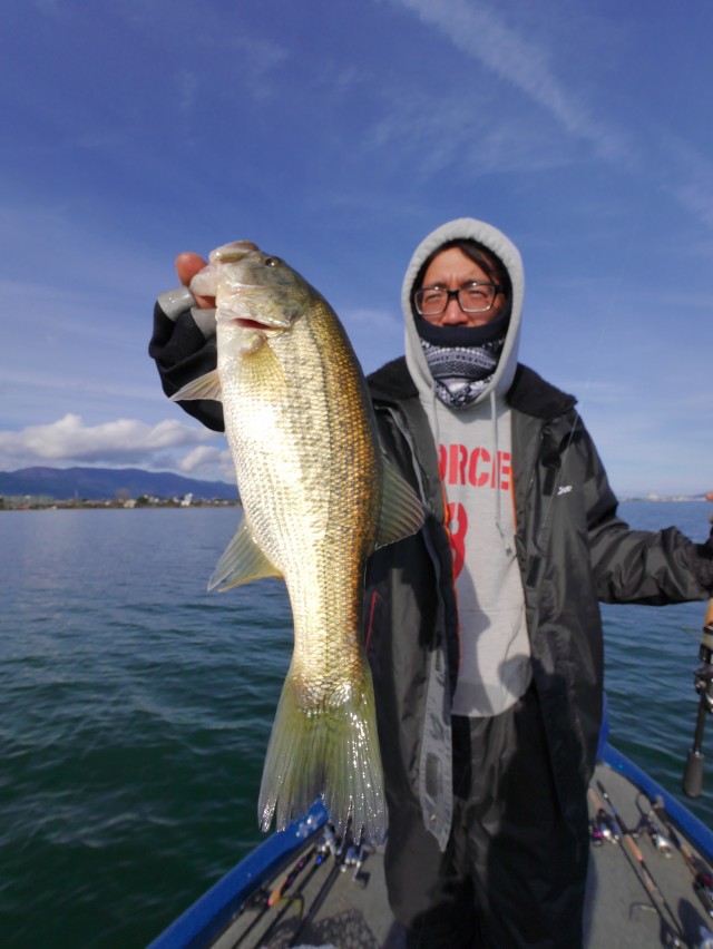 truth hiramura ブログ写真 2016/12/09