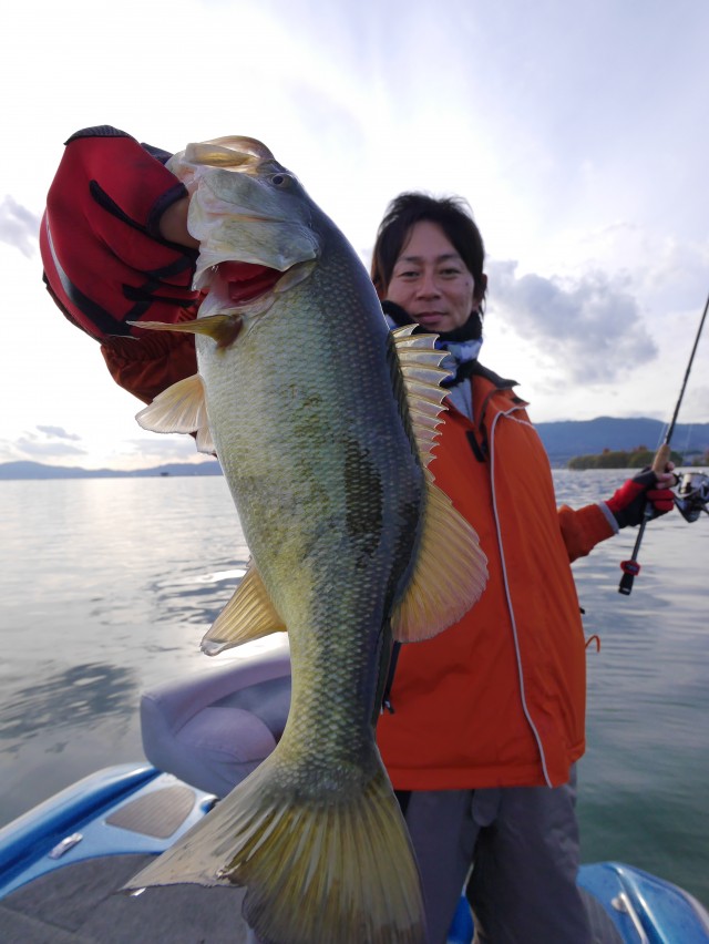 truth hiramura ブログ写真 2016/12/09