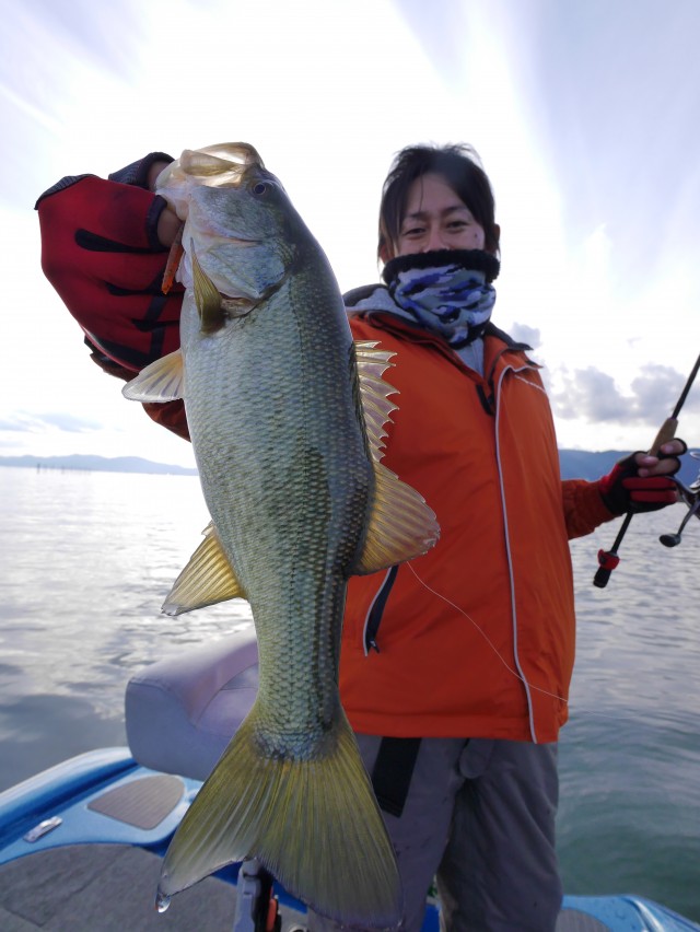 truth hiramura ブログ写真 2016/12/09