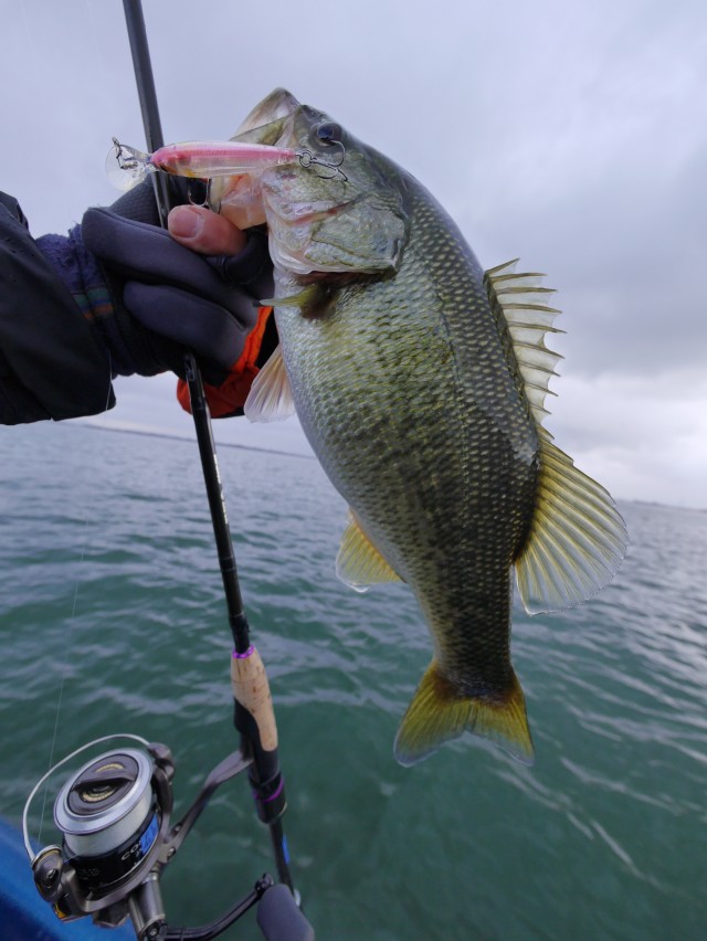 truth hiramura ブログ写真 2016/12/10