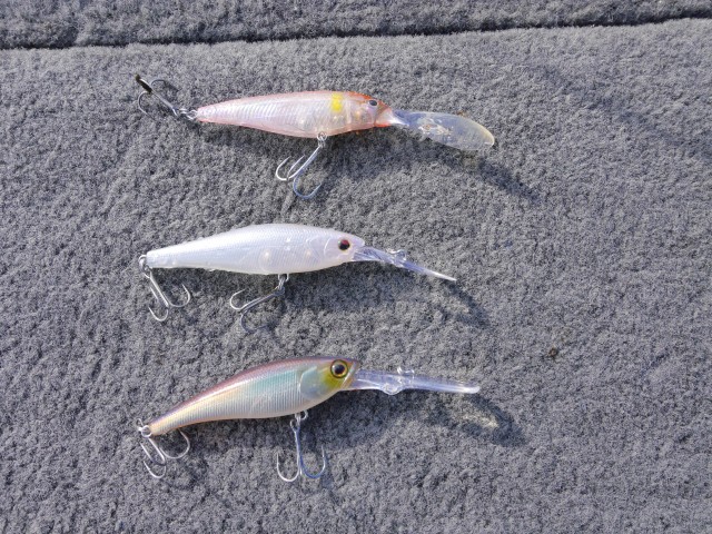 truth hiramura ブログ写真 2016/12/10