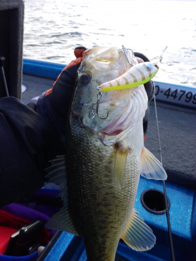 truth hiramura ブログ写真 2016/12/23